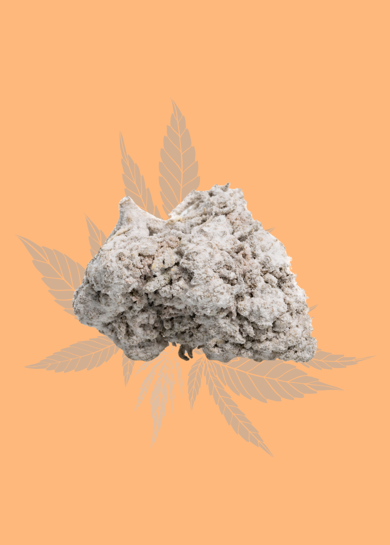 Gros plan sur une fleur de cannabis de variété Amnesia avec un fond orange et des feuilles stylisées