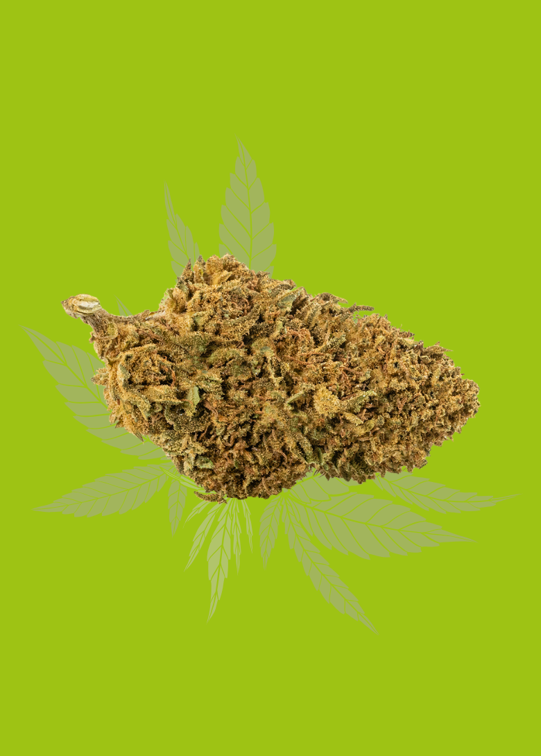 Fleur de cannabis Lemon Cheese en gros plan avec un fond vert clair et des feuilles en arrière-plan