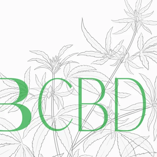 Nos fleurs de CBD